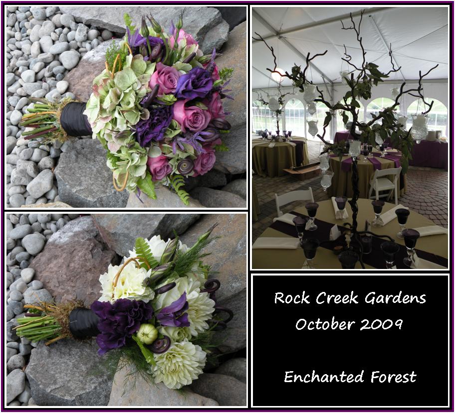 Enchanted Forest Purples