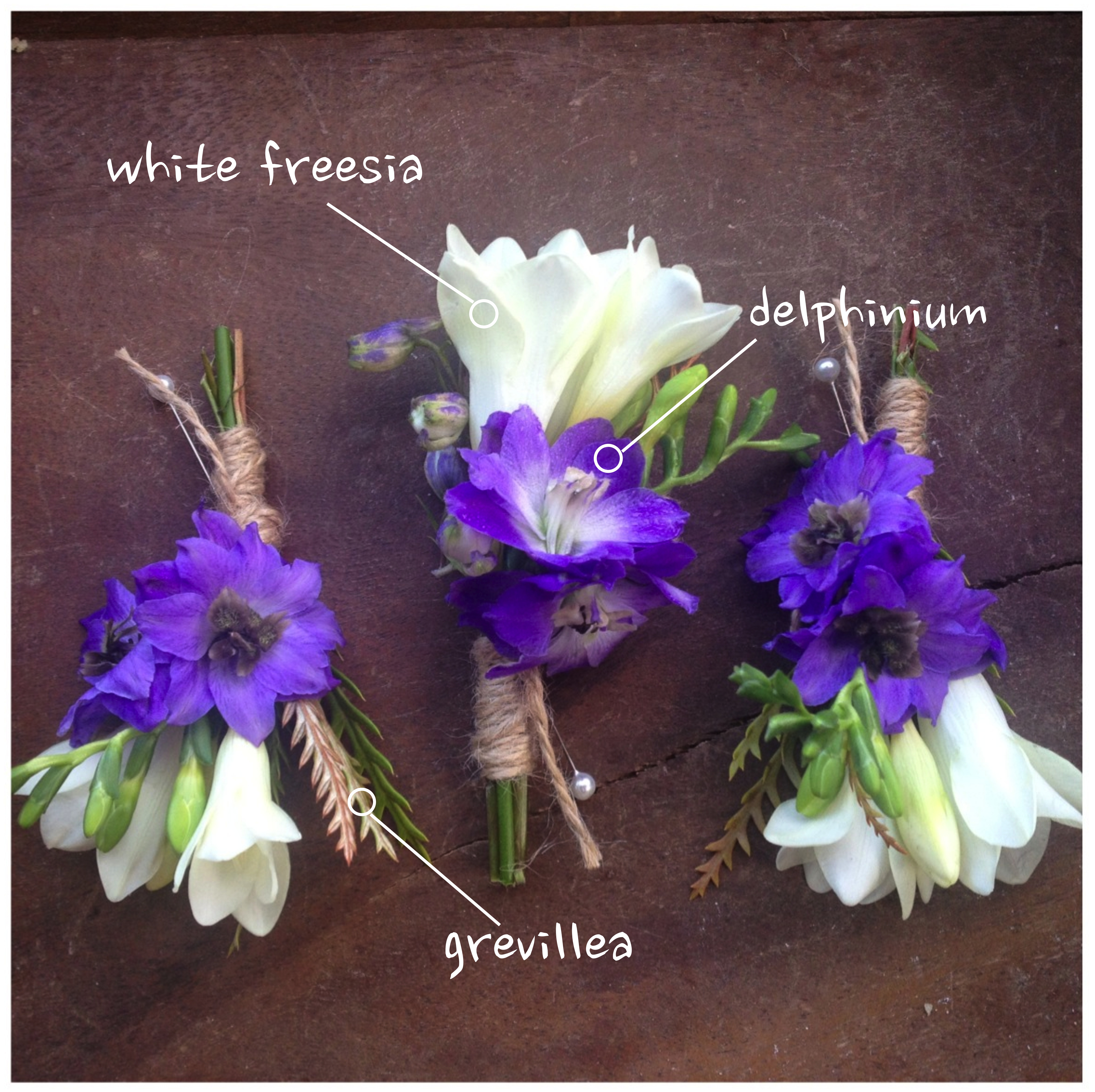 White Freesia Delphinium Boutonniere